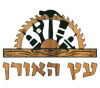 עץ האורן - יבואן